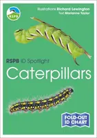 RSPB ID Spotlight - Hernyók - RSPB ID Spotlight - Caterpillars