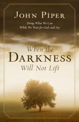 Amikor a sötétség nem oldódik: Tegyük meg, amit tudunk, amíg Istenre várunk - és az örömre - When the Darkness Will Not Lift: Doing What We Can While We Wait for God--And Joy