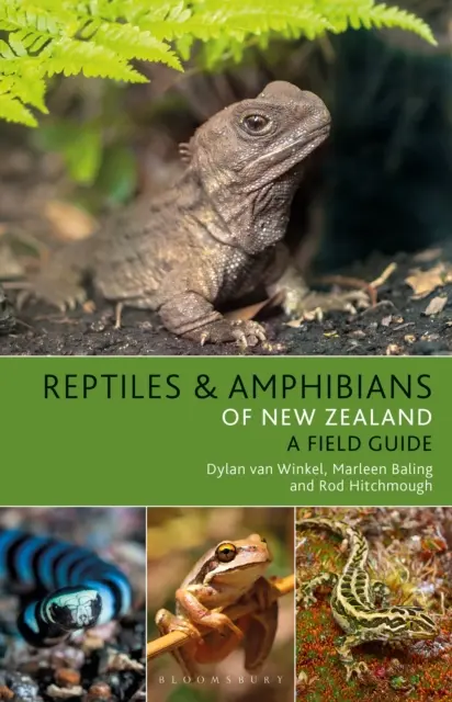 Új-Zéland hüllői és kétéltűi - Reptiles and Amphibians of New Zealand