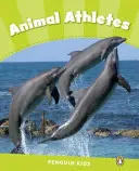 4. szint: Állati sportolók CLIL - Level 4: Animal Athletes CLIL