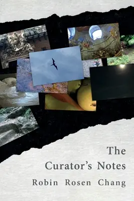 A kurátor jegyzetei - The Curator's Notes