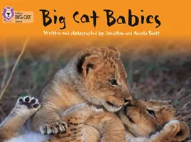 Nagymacskabébik - Big Cat Babies