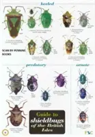 Útmutató a Brit-szigetek pajzsbogaraihoz - Guide to Shieldbugs of the British Isles