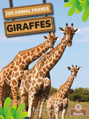 Zsiráfok - Giraffes