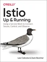 Istio: Up and Running: A szolgáltatásháló használata a csatlakozáshoz, a biztonsághoz, az irányításhoz és a megfigyeléshez - Istio: Up and Running: Using a Service Mesh to Connect, Secure, Control, and Observe