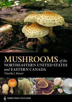 Az Egyesült Államok északkeleti részének és Kelet-Kanadának gombái - Mushrooms of the Northeastern United States and Eastern Canada