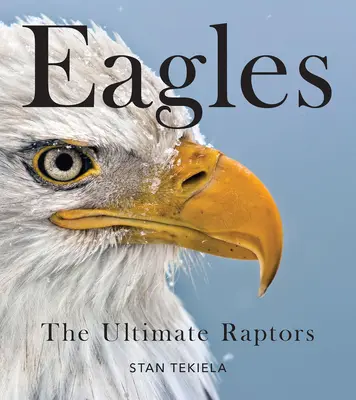 Kopasz sasok: A végső ragadozó madarak - Bald Eagles: The Ultimate Raptors