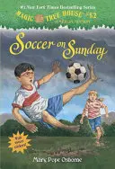 Foci vasárnap - Soccer on Sunday