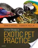 Aktuális terápia az egzotikus háziállatok gyakorlatában - Current Therapy in Exotic Pet Practice