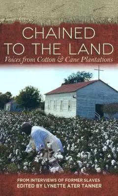 A földhöz láncolva: Hangok a gyapot- és cukornádültetvényekről - Chained to the Land: Voices from Cotton & Cane Plantations