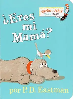 Eres Mi Mama?