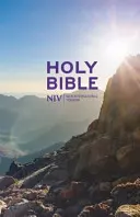 NIV Thinline Value Hardback Biblia - NIV Thinline Value Hardback Bible