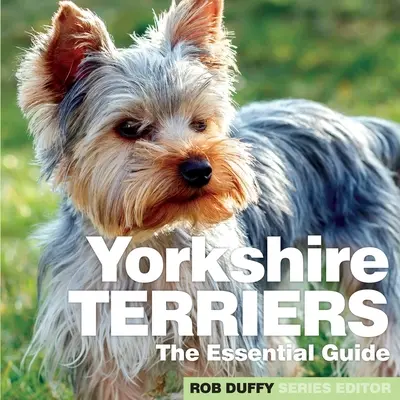 Yorkshire terrierek: Az alapvető útmutató - Yorkshire Terriers: The Essential Guide