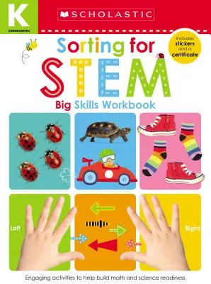 Rendezés a Stem óvodai munkafüzethez: Scholastic Early Learners (Big Skills Workbook) - Sorting for Stem Kindergarten Workbook: Scholastic Early Learners (Big Skills Workbook)