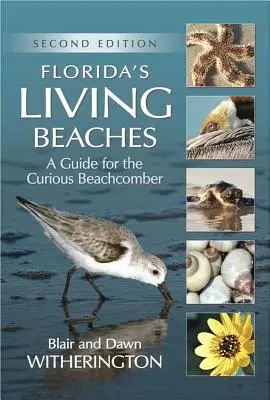 Florida élő tengerpartjai: Útikalauz a kíváncsi strandolóknak - Florida's Living Beaches: A Guide for the Curious Beachcomber