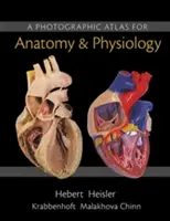 Fényképes atlasz az anatómiához és az élettanhoz - A Photographic Atlas for Anatomy & Physiology