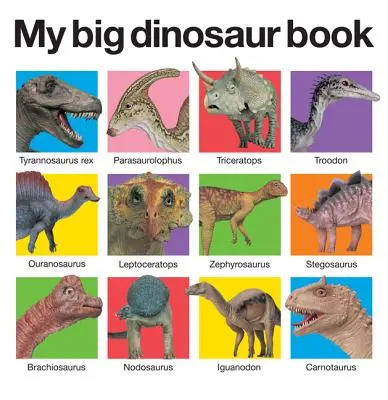 Az én nagy dinoszaurusz könyvem - My Big Dinosaur Book