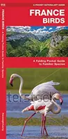 Franciaország madarai - Összecsukható zsebkönyv az ismert fajokról - France Birds - A Folding Pocket Guide to Familiar Species