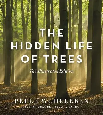 A fák rejtett élete: Illusztrált kiadás - The Hidden Life of Trees: The Illustrated Edition