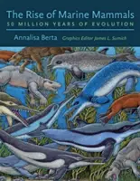 A tengeri emlősök felemelkedése: 50 millió év evolúciója - The Rise of Marine Mammals: 50 Million Years of Evolution