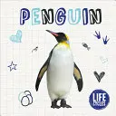 Pingvin - Penguin