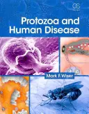 Protozoa és az emberi betegségek - Protozoa and Human Disease