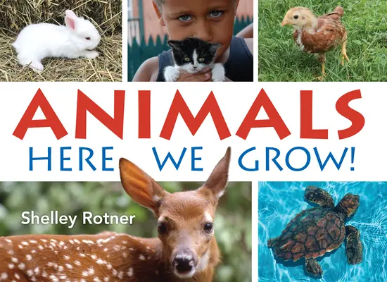 Állatok!: Itt növekszünk - Animals!: Here We Grow