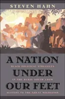 Egy nemzet a lábunk alatt: Fekete politikai küzdelmek a vidéki Délen a rabszolgaságtól a nagy népvándorlásig - A Nation Under Our Feet: Black Political Struggles in the Rural South from Slavery to the Great Migration