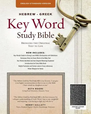 Héber-görög kulcsszavas tanulmányozó Biblia-ESV: Kulcsfontosságú betekintések Isten Igéjébe - Hebrew-Greek Key Word Study Bible-ESV: Key Insights Into God's Word