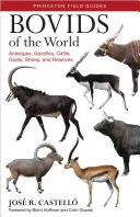 A világ szarvasmarhái: Antilopok, gazellák, szarvasmarhák, kecskék, juhok és rokonai - Bovids of the World: Antelopes, Gazelles, Cattle, Goats, Sheep, and Relatives