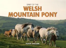 A walesi hegyi póni szelleme - Spirit of the Welsh Mountain Pony