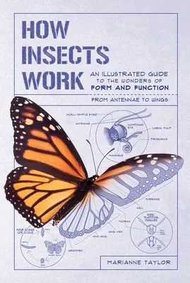 Hogyan működnek a rovarok: A forma és a funkció csodái - az antennáktól a szárnyakig - How Insects Work: An Illustrated Guide to the Wonders of Form and Function--From Antennae to Wings