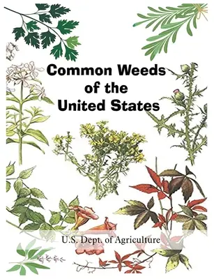 Az Egyesült Államok gyakori gyomnövényei - Common Weeds of the United States