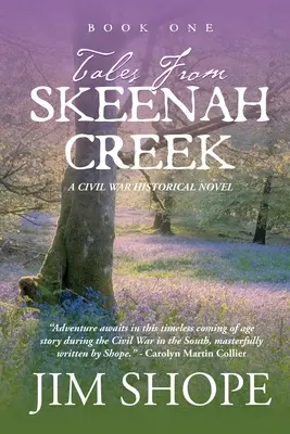 Mesék Skeenah Creekből: A Civil War Historical Fiction Novel - Tales From Skeenah Creek: A Civil War Historical Fiction Novel