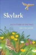 Skylark