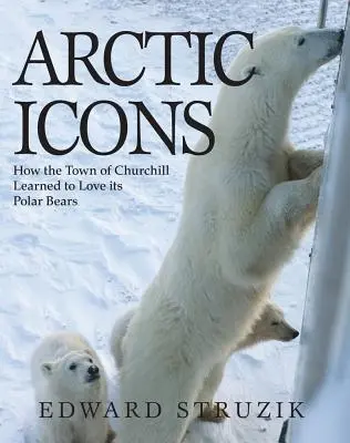 Arctic Icons: Hogyan tanulta meg Churchill városa szeretni a jegesmedvéket? - Arctic Icons: How the Town of Churchill Learned to Love Its Polar Bears