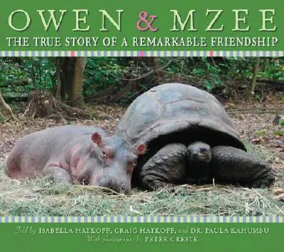 Owen és Mzee: Egy figyelemre méltó barátság igaz története - Owen and Mzee: The True Story of a Remarkable Friendship