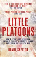 Little Platoons - Hogyan adhat erőt az újjáéledő One Nation Anglia elfeledett városainak, és hogyan rajzolhatja át a politikai térképet? - Little Platoons - How a revived One Nation can empower England's forgotten towns and redraw the political map