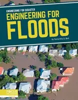 Mérnöki tervezés árvizek esetén - Engineering for Floods