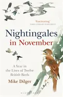 Novemberi fülemülék - Egy év tizenkét brit madár életéből - Nightingales in November - A Year in the Lives of Twelve British Birds