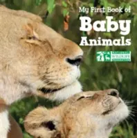 Az első könyvem a kisállatokról - My First Book of Baby Animals