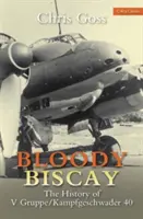 Véres Vizcaya: A V Gruppe története: A V Gruppe/Kampfgeschwader 40 története - Bloody Biscay: The History of V Gruppe: The History of V Gruppe/Kampfgeschwader 40