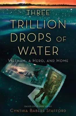 Three Trillion Drops of Water: Vietnam, egy hős és a haza - Three Trillion Drops of Water: Vietnam, a Hero, and Home