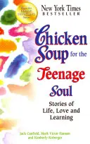 Csirkeleves a tizenévesek lelkének: Történetek az életről, a szerelemről és a tanulásról - Chicken Soup for the Teenage Soul: Stories of Life, Love and Learning