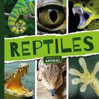 Hüllők - Reptiles