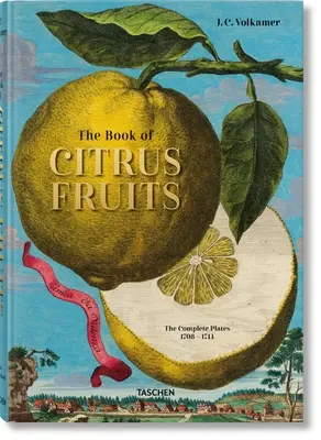 J. C. Volkamer. a citrusfélék könyve - J. C. Volkamer. the Book of Citrus Fruits