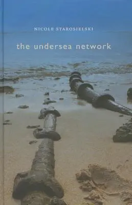 Tenger alatti hálózat - Undersea Network