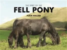 A bukott póni szelleme - Spirit of the Fell Pony