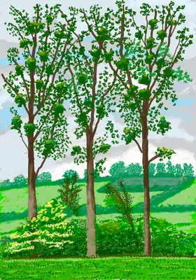 David Hockney: A tavasz megérkezése Normandiában, 2020 - David Hockney: The Arrival of Spring in Normandy, 2020