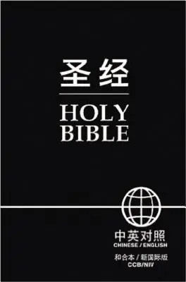 Kínai Angol Biblia-FL/NIV - Chinese English Bible-FL/NIV